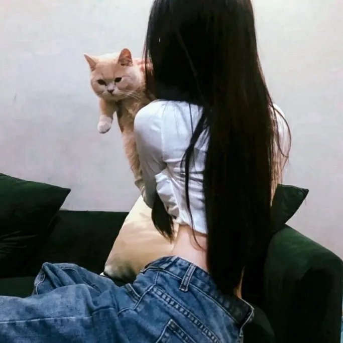 神犬出击