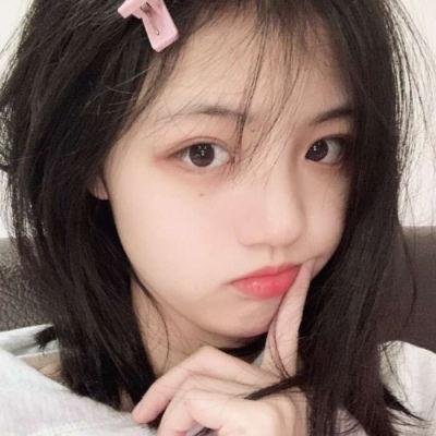总统班底